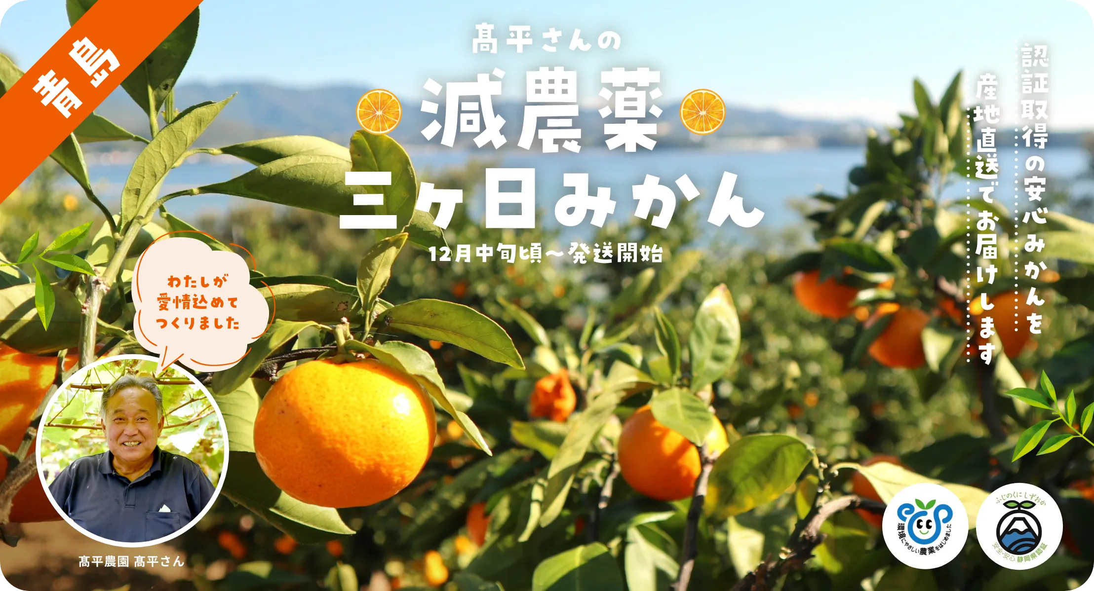 髙平さんの減農薬
三ヶ日みかん