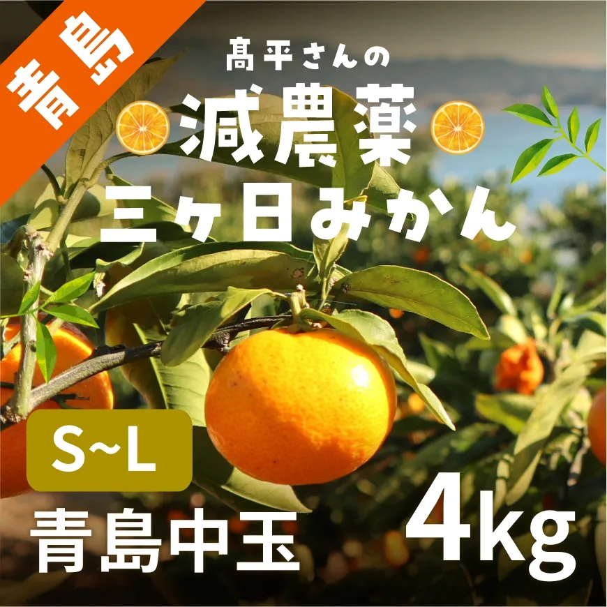 髙平さんの減農薬三ヶ日みかん