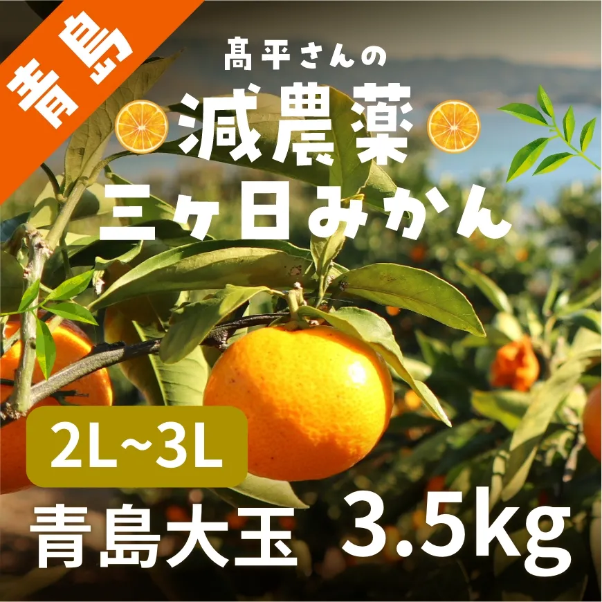 髙平さんの減農薬三ヶ日みかん
