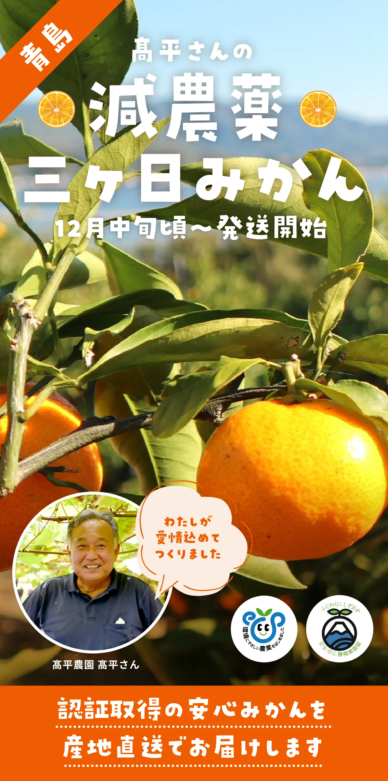 髙平さんの減農薬
三ヶ日みかん