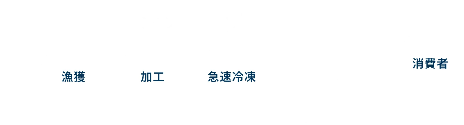 本商品の場合