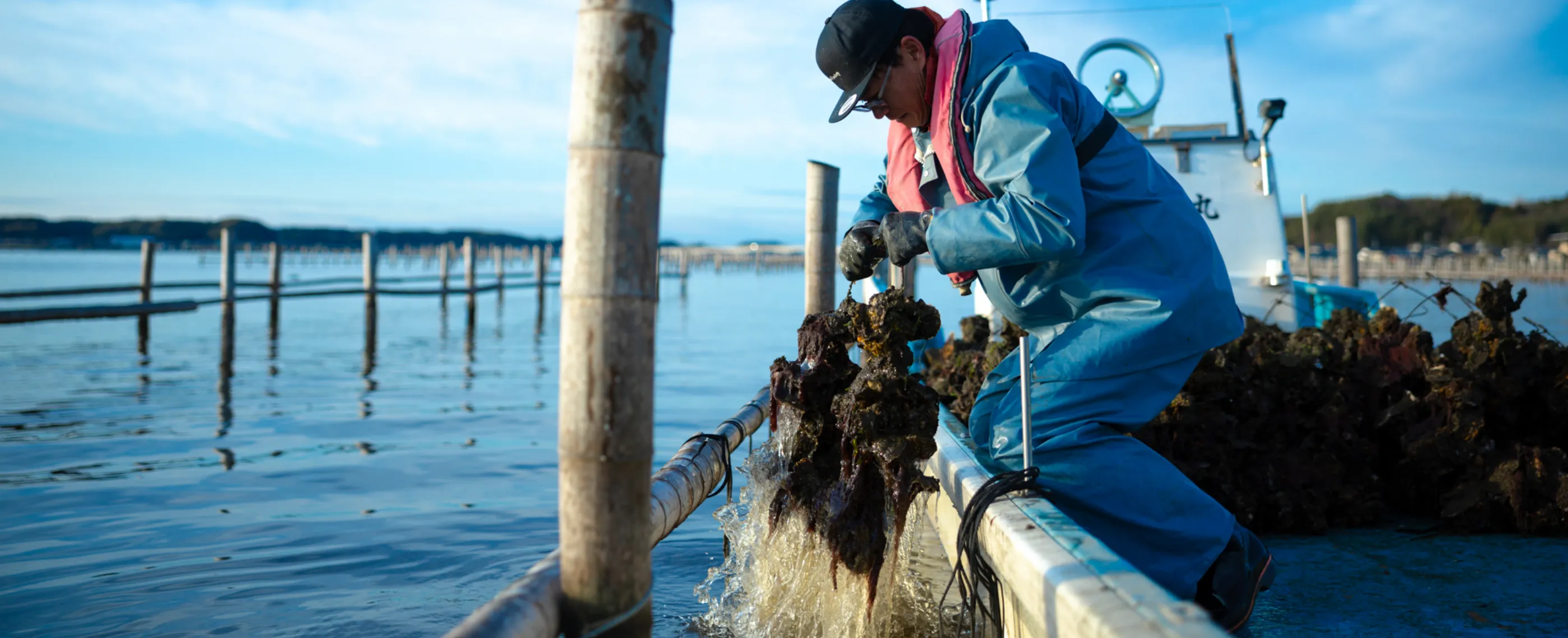 浜名湖産 牡蠣 養殖のこだわり
