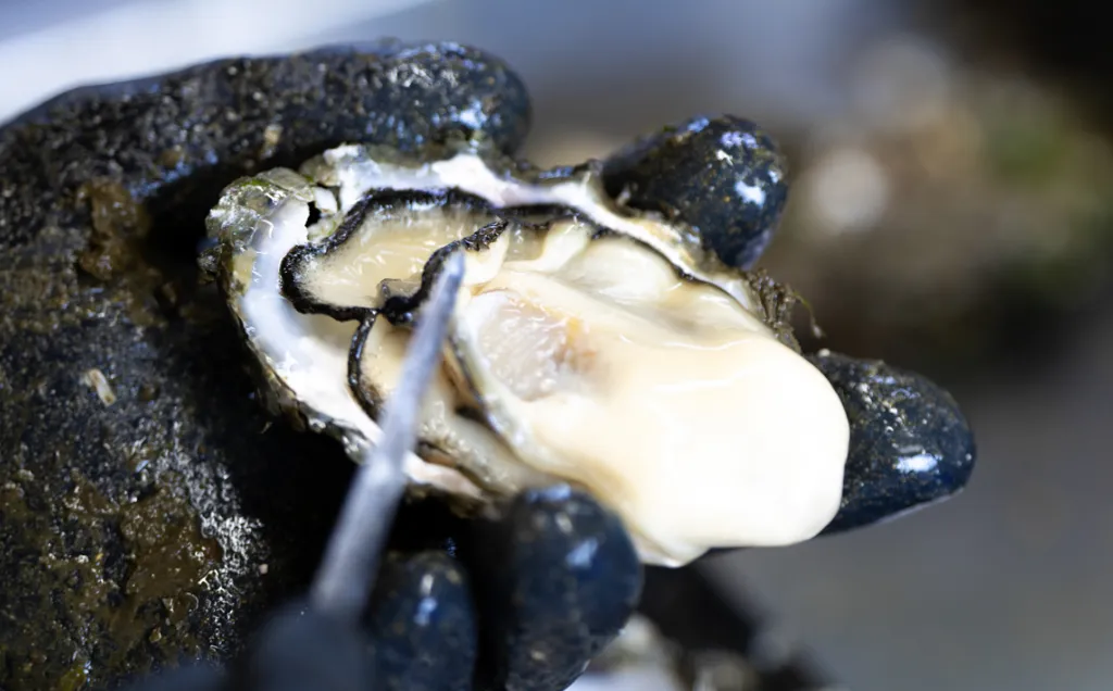 大切な方への贈答