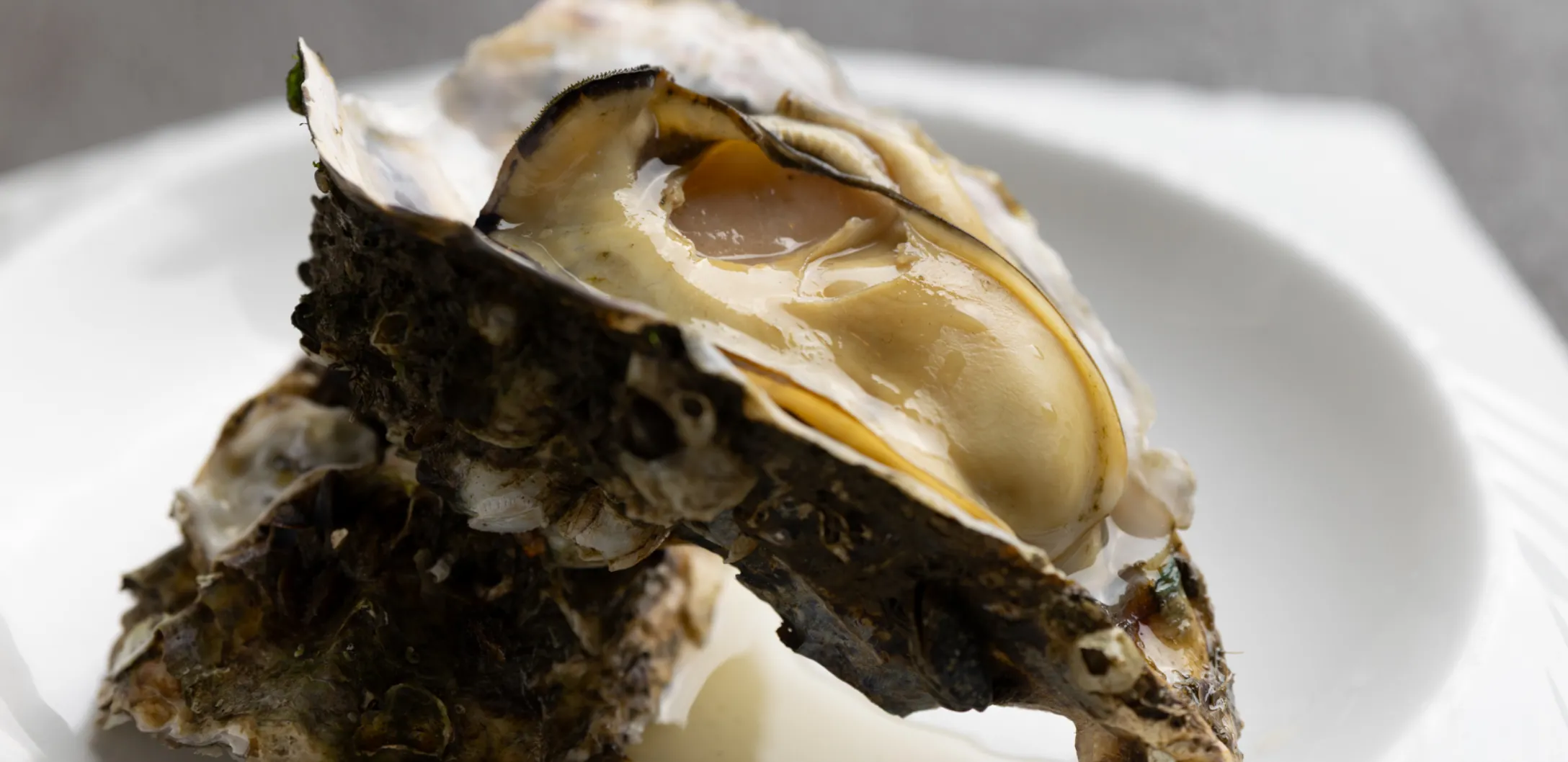 濃厚なコクと旨味