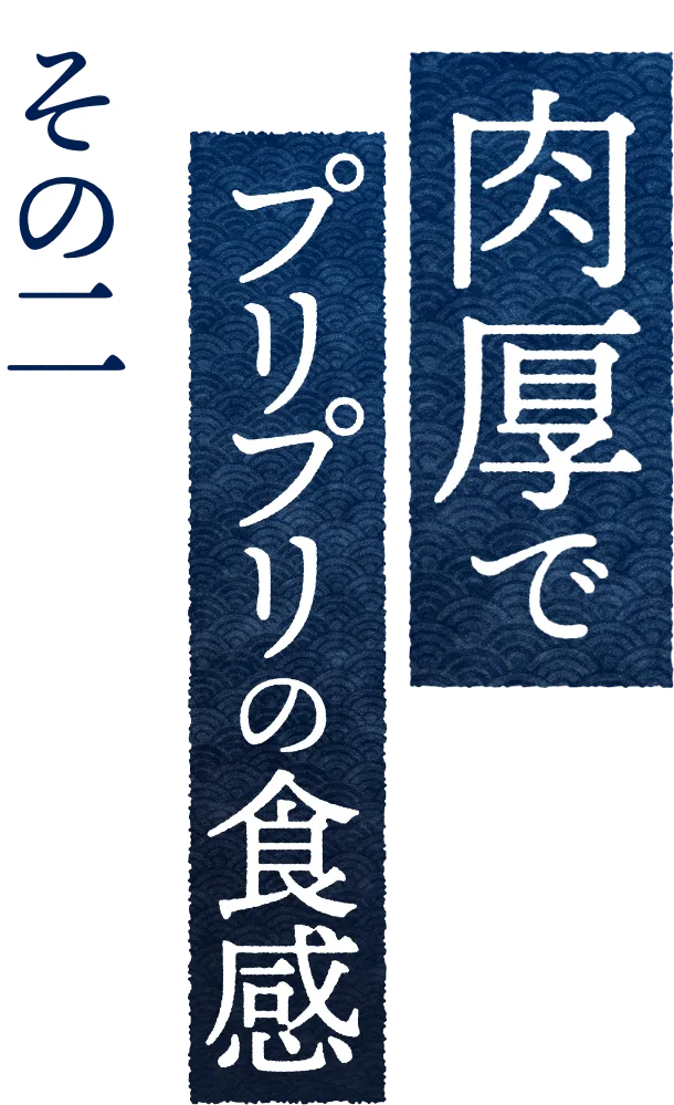 肉厚でプリプリの食感