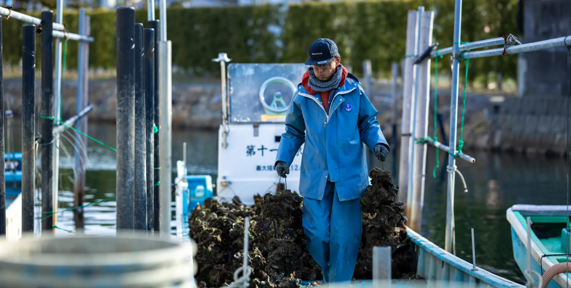 朝獲れ即日出荷