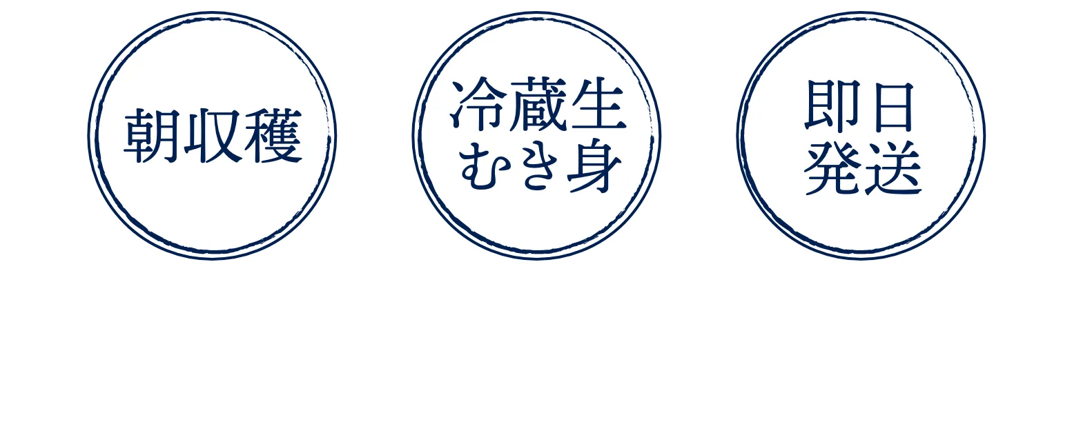 朝獲れの最旬鮮度の牡蠣を即日発送