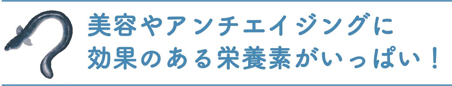 美容やアンチエイジングに効果のある栄養素がいっぱい！