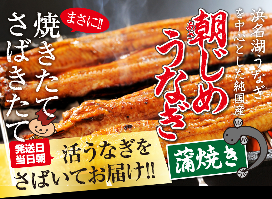 浜名湖産直朝じめうなぎ蒲焼き