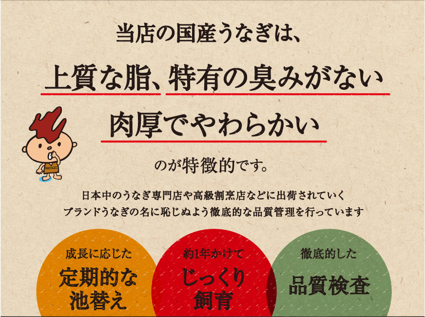 長年培った技と伝統