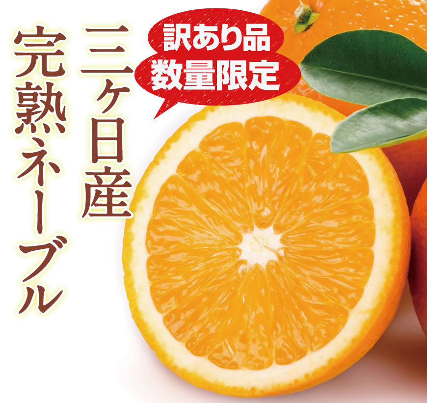 三ヶ日産ネーブル