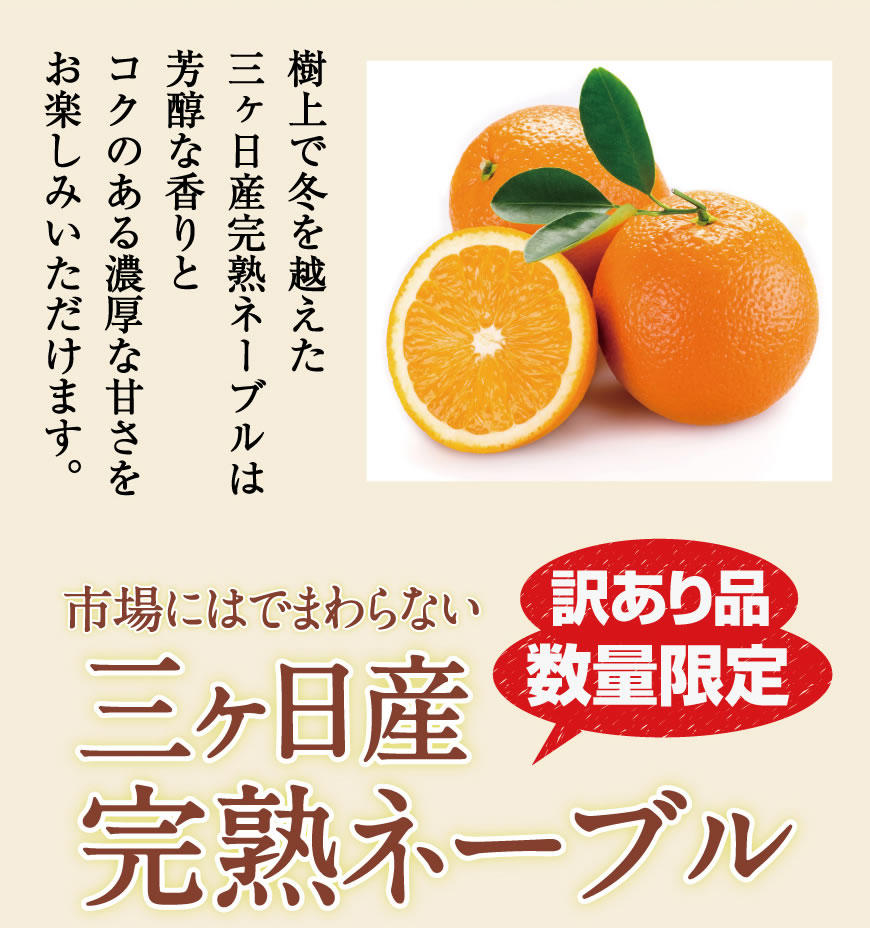 三ヶ日産ネーブル