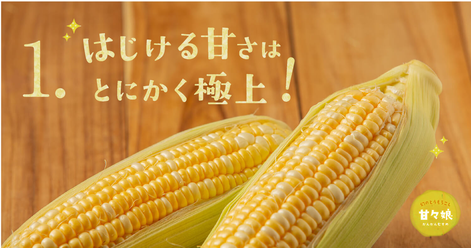 静岡県産とうもろこし 甘々娘 かんかんむすめ 3lサイズ8本入り ご家庭用 採りたてとうもろこしの通販なら浜名湖産直マーケット