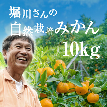 ̵ߤ 10kg