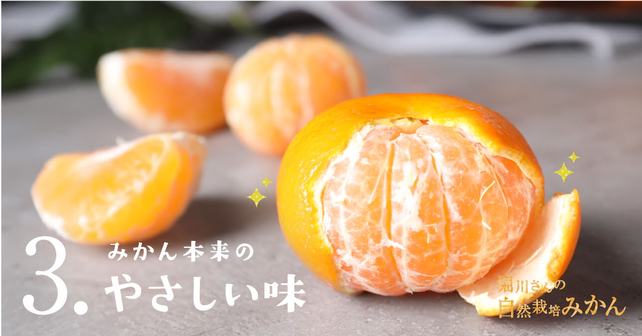 堀川さんの無農薬みかん おいしさのポイント3 みかん本来のやさしい味