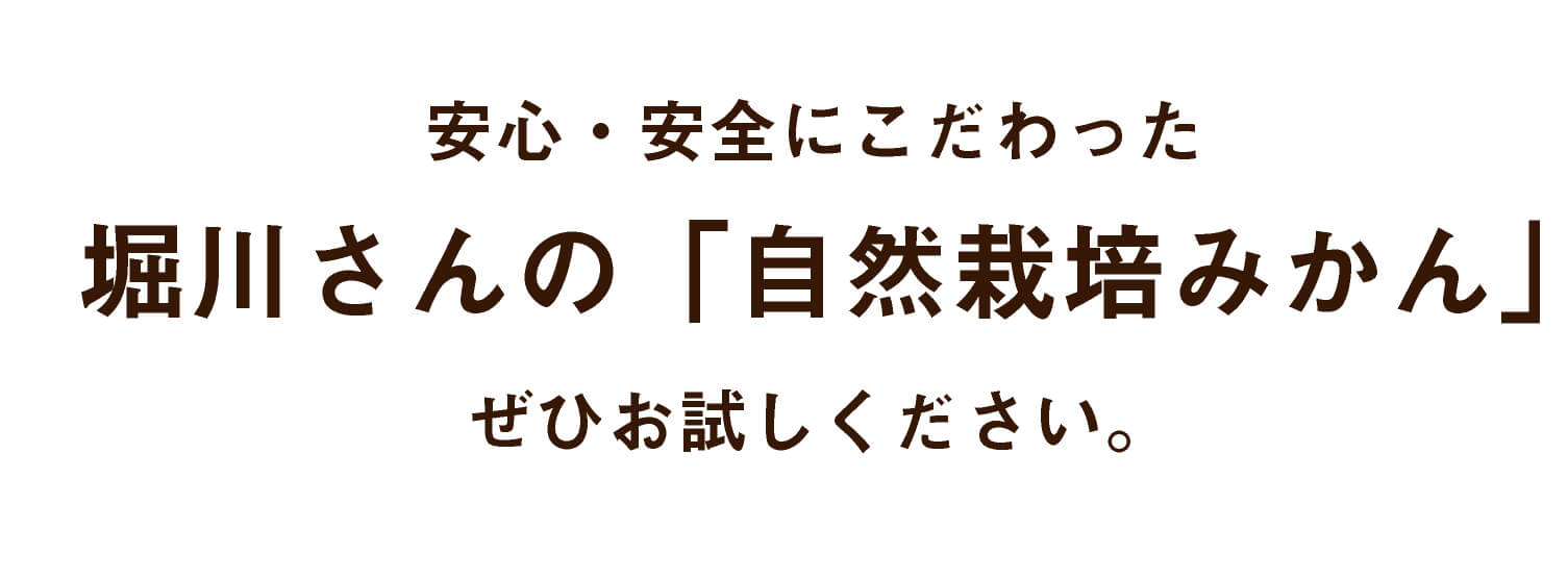 安心・安全にこだわった堀川さんの「無農薬みかん」ぜひお試しください。