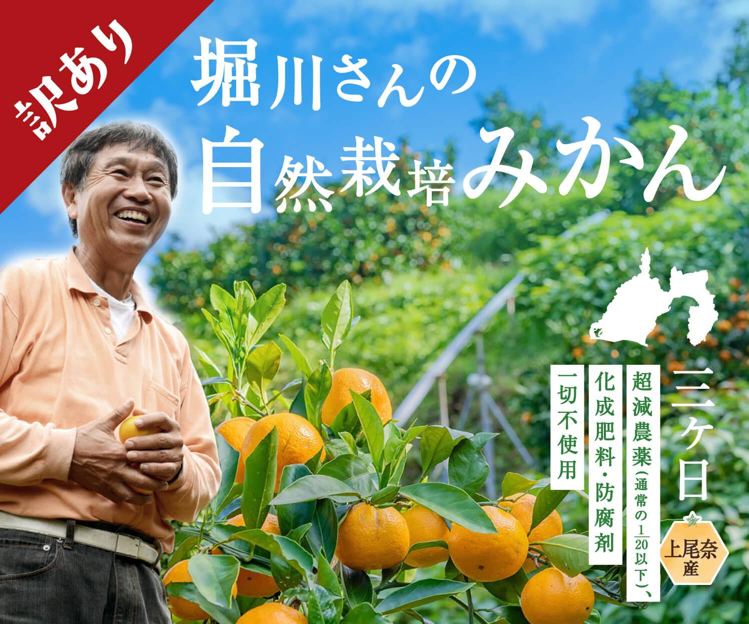 訳あり 三ケ日産の完全自然栽培みかん5kg S Ll サイズ 浜名湖産直マーケット