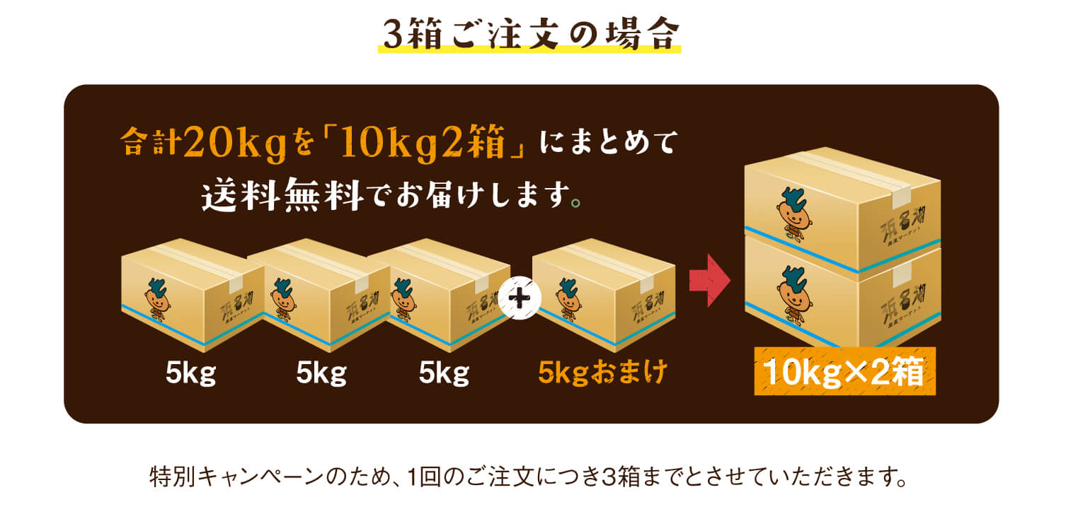 人気の三ケ日みかん「早生」の訳あり品を全国へお届け｜浜名湖産直マーケット