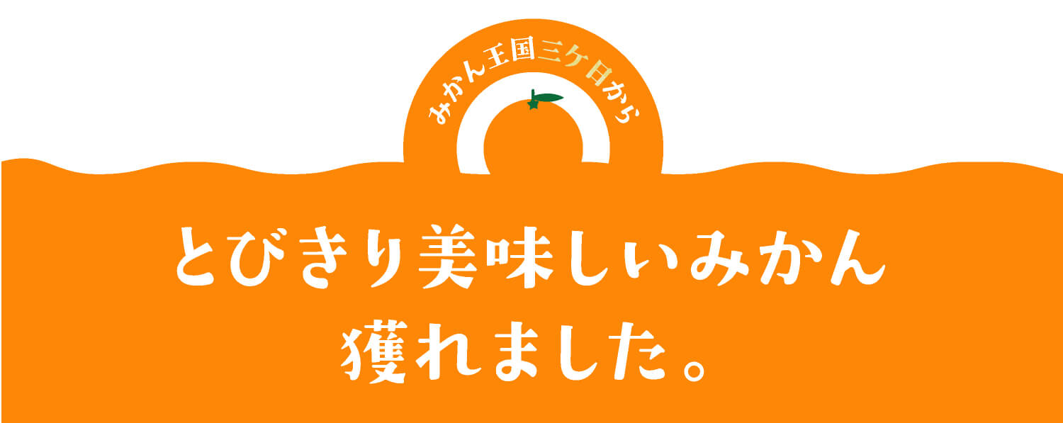 人気の三ケ日みかん「早生」を全国へお届け｜浜名湖産直マーケット