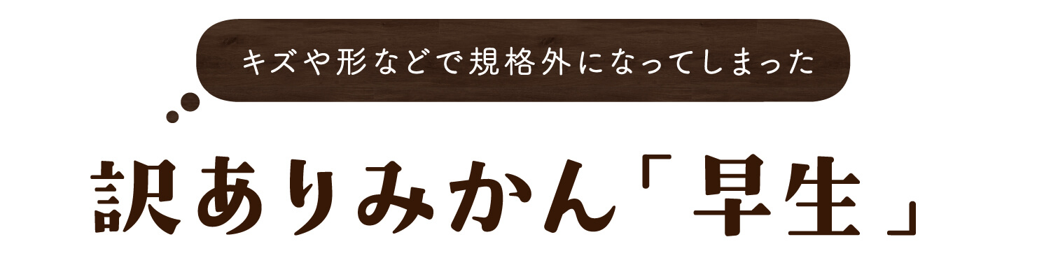 人気の三ケ日みかん「早生」の訳あり品を全国へお届け｜浜名湖産直マーケット