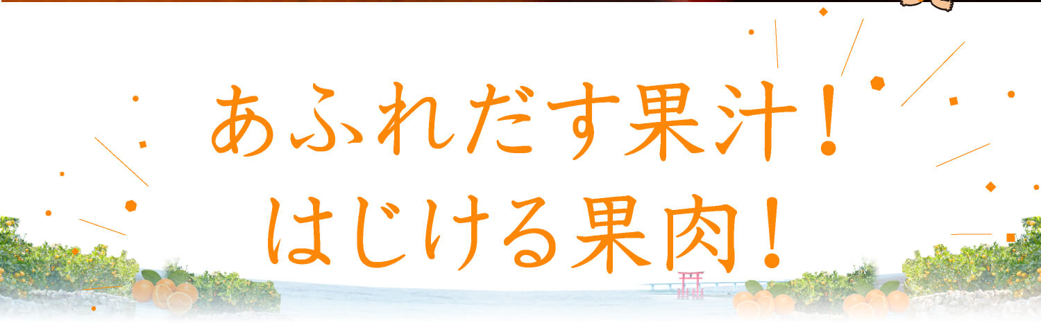 人気の三ケ日みかん「早生」を全国へお届け｜浜名湖産直マーケット