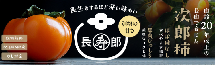 新玉ねぎの通販 お取り寄せ 浜名湖産直マーケット